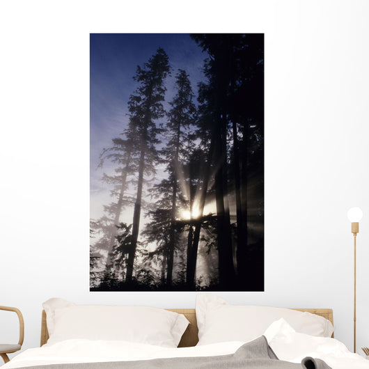 USA Oregon Sunlight Filtering Wall Decal