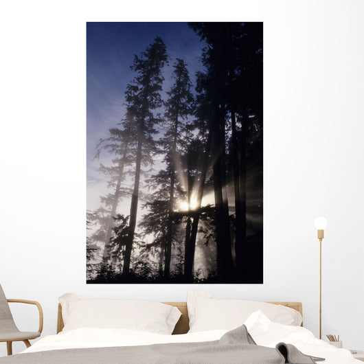 USA Oregon Sunlight Filtering Wall Decal
