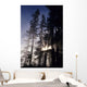 USA Oregon Sunlight Filtering Wall Decal
