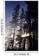 USA Oregon Sunlight Filtering Wall Decal