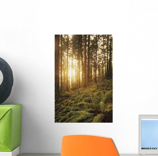 USA Oregon Ferns and Wall Decal