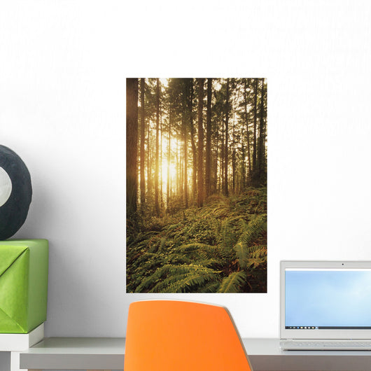 USA Oregon Ferns and Wall Decal