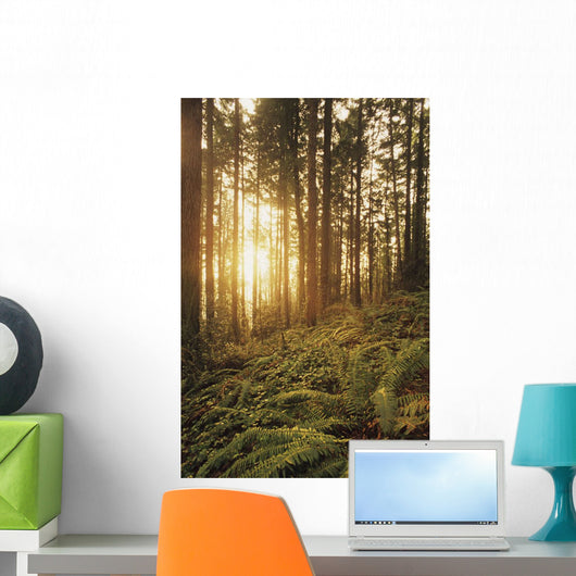 USA Oregon Ferns and Wall Decal