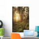 USA Oregon Ferns and Wall Decal