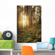 USA Oregon Ferns and Wall Decal