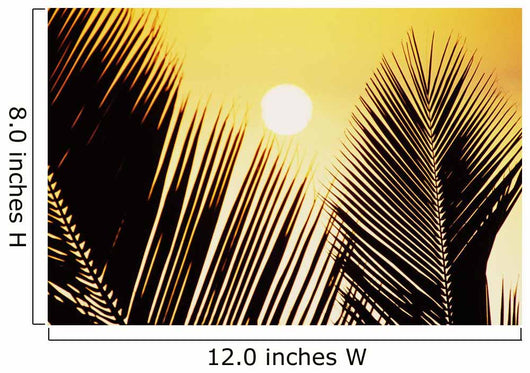 Pale Yellow Sunball behind Wall Decal