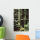 USA Jedediah Smith Redwoods Wall Decal