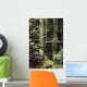 USA Jedediah Smith Redwoods Wall Decal