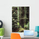 USA Jedediah Smith Redwoods Wall Decal