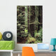 USA Jedediah Smith Redwoods Wall Decal