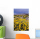 Desert Landscape with California Wall Decal