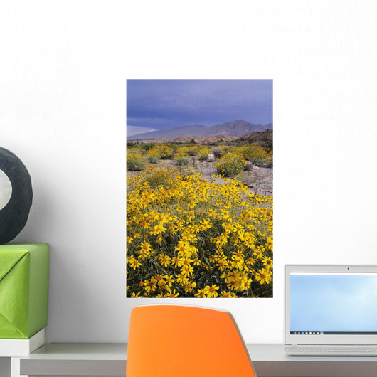 Desert Landscape with California Wall Decal