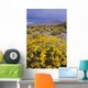Desert Landscape with California Wall Decal