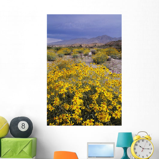 Desert Landscape with California Wall Decal