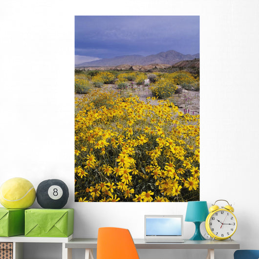 Desert Landscape with California Wall Decal