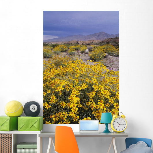 Desert Landscape with California Wall Decal