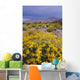 Desert Landscape with California Wall Decal