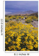 Desert Landscape with California Wall Decal
