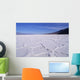 USA Death Valley National Wall Decal