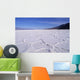 USA Death Valley National Wall Decal
