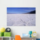 USA Death Valley National Wall Decal