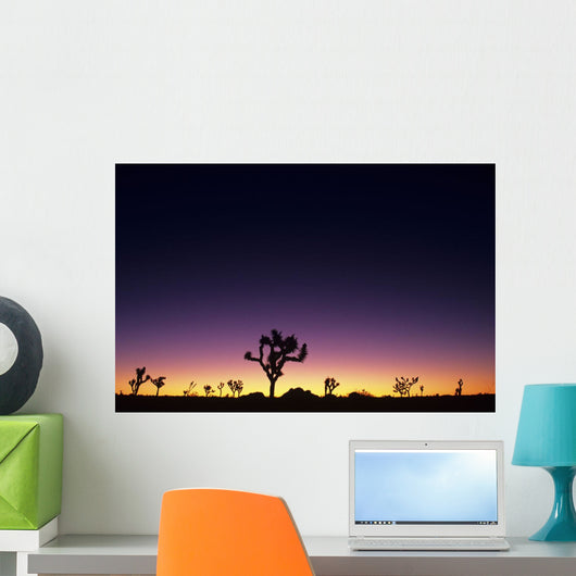 Joshua Trees Silhouetted Dawn Wall Decal