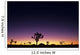 Joshua Trees Silhouetted Dawn Wall Decal