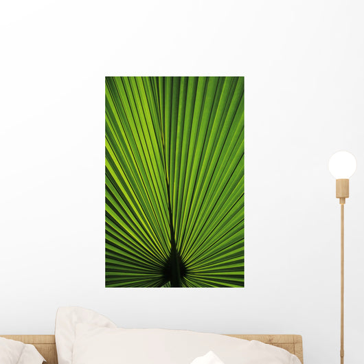 Hawaii Oahu Backlit Fan Wall Decal