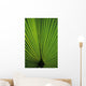 Hawaii Oahu Backlit Fan Wall Decal