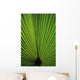 Hawaii Oahu Backlit Fan Wall Decal