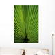 Hawaii Oahu Backlit Fan Wall Decal