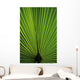 Hawaii Oahu Backlit Fan Wall Decal