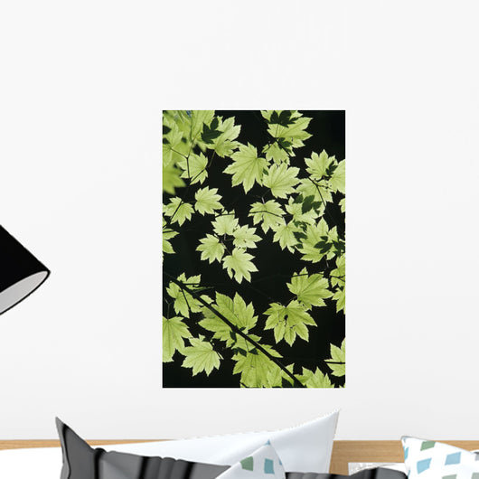 Oregon Cascade Mountains Maple Wall Decal