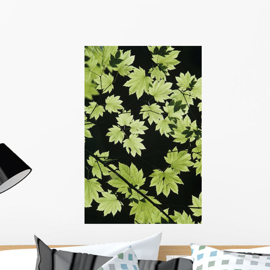 Oregon Cascade Mountains Maple Wall Decal