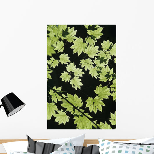 Oregon Cascade Mountains Maple Wall Decal