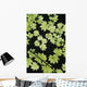 Oregon Cascade Mountains Maple Wall Decal