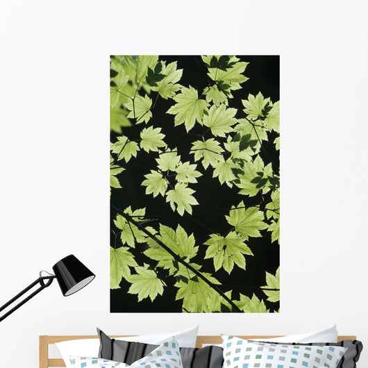 Oregon Cascade Mountains Maple Wall Decal