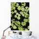 Oregon Cascade Mountains Maple Wall Decal