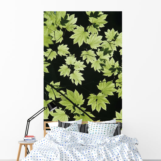 Oregon Cascade Mountains Maple Wall Decal