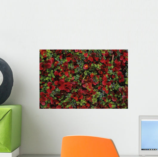 Fall Season Bearberry and Wall Decal
