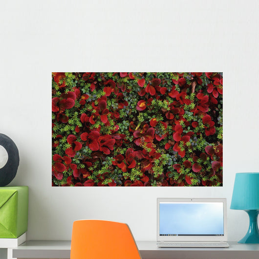 Fall Season Bearberry and Wall Decal
