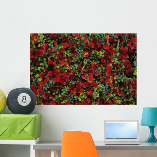 Fall Season Bearberry and Wall Decal