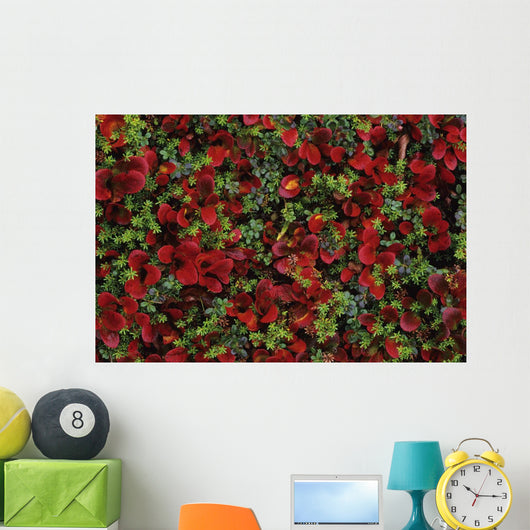 Fall Season Bearberry and Wall Decal