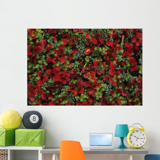Fall Season Bearberry and Wall Decal