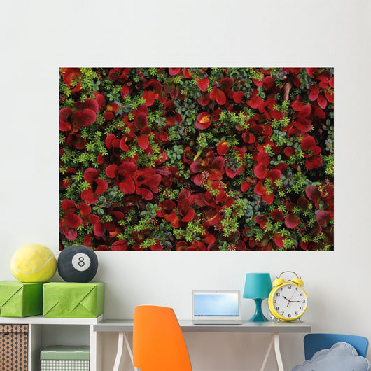 Fall Season Bearberry and Wall Decal