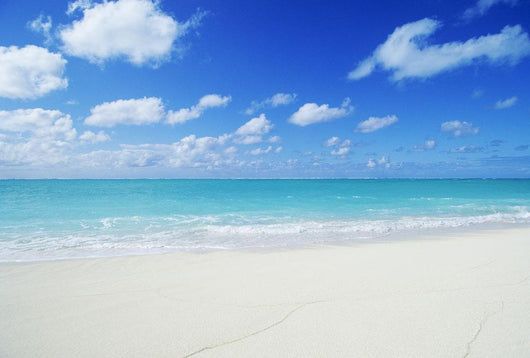 Turquoise Ocean And White Sand Beach Wall Mural