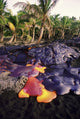 USA Hawaii Volcanoes National Wall Decal