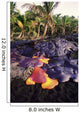 USA Hawaii Volcanoes National Wall Decal