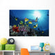 Female Snorkeler Silhouetted with Wall Decal