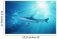 USA Wall Decal Design 2